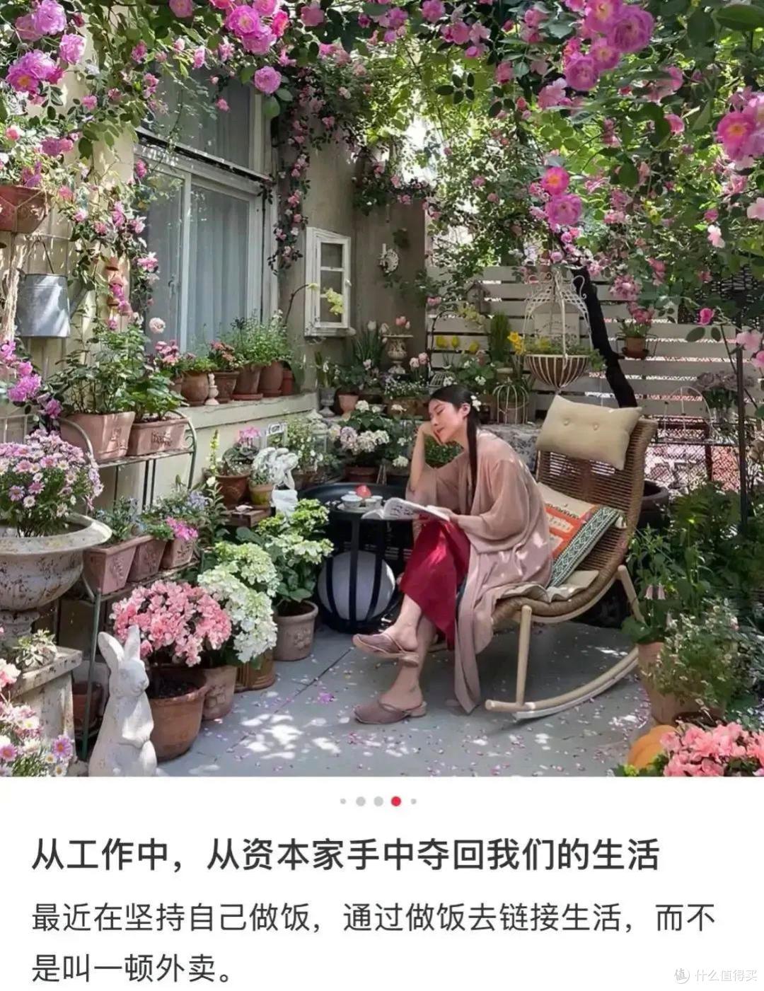 安徽一太太的院子火了,种满鲜花,似人间仙境,一看就不是摆拍