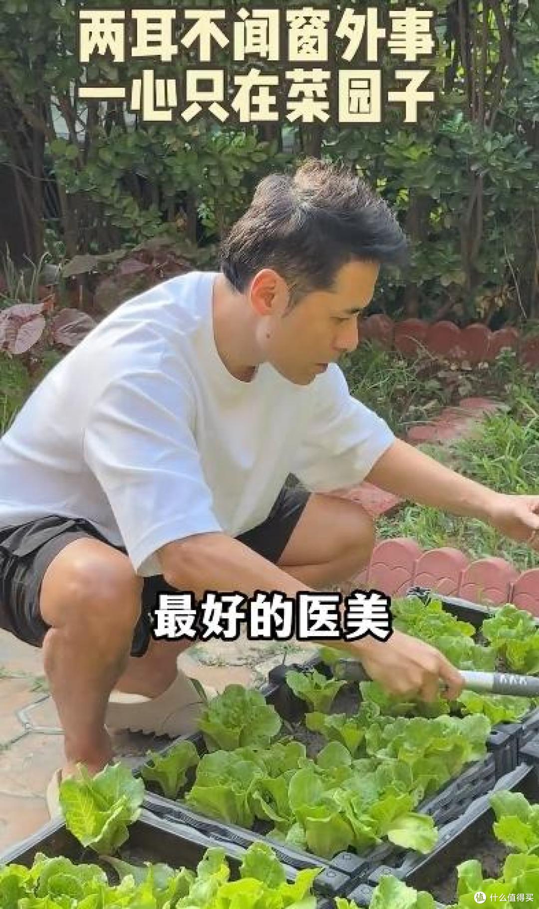 歌手“黄征”的院子火了,仅一菜园子就圈粉百万,一看就不是摆拍