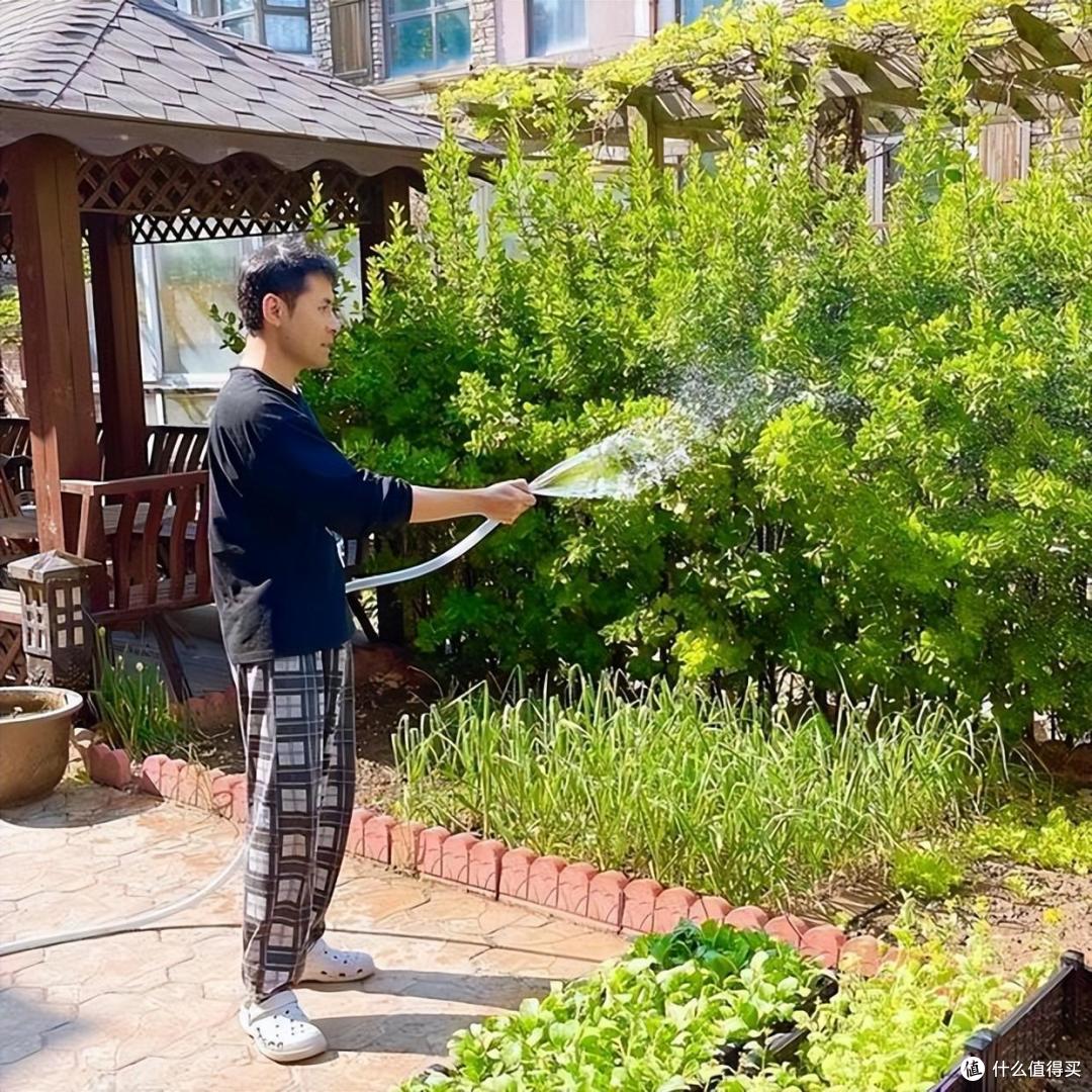歌手“黄征”的院子火了,仅一菜园子就圈粉百万,一看就不是摆拍