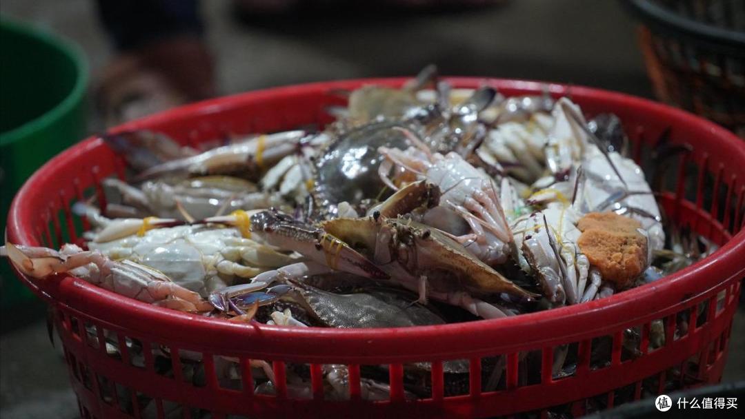 我猜,梭子蟹这10大品类,全吃过的不多