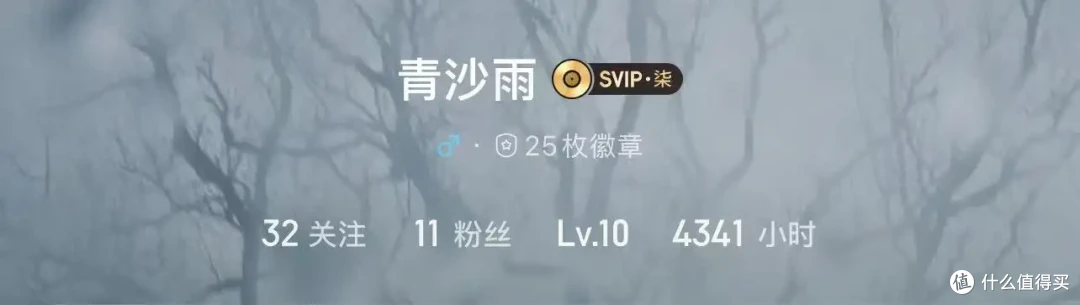 因为跑步这个爱好,居然让我听了偶像的演唱会