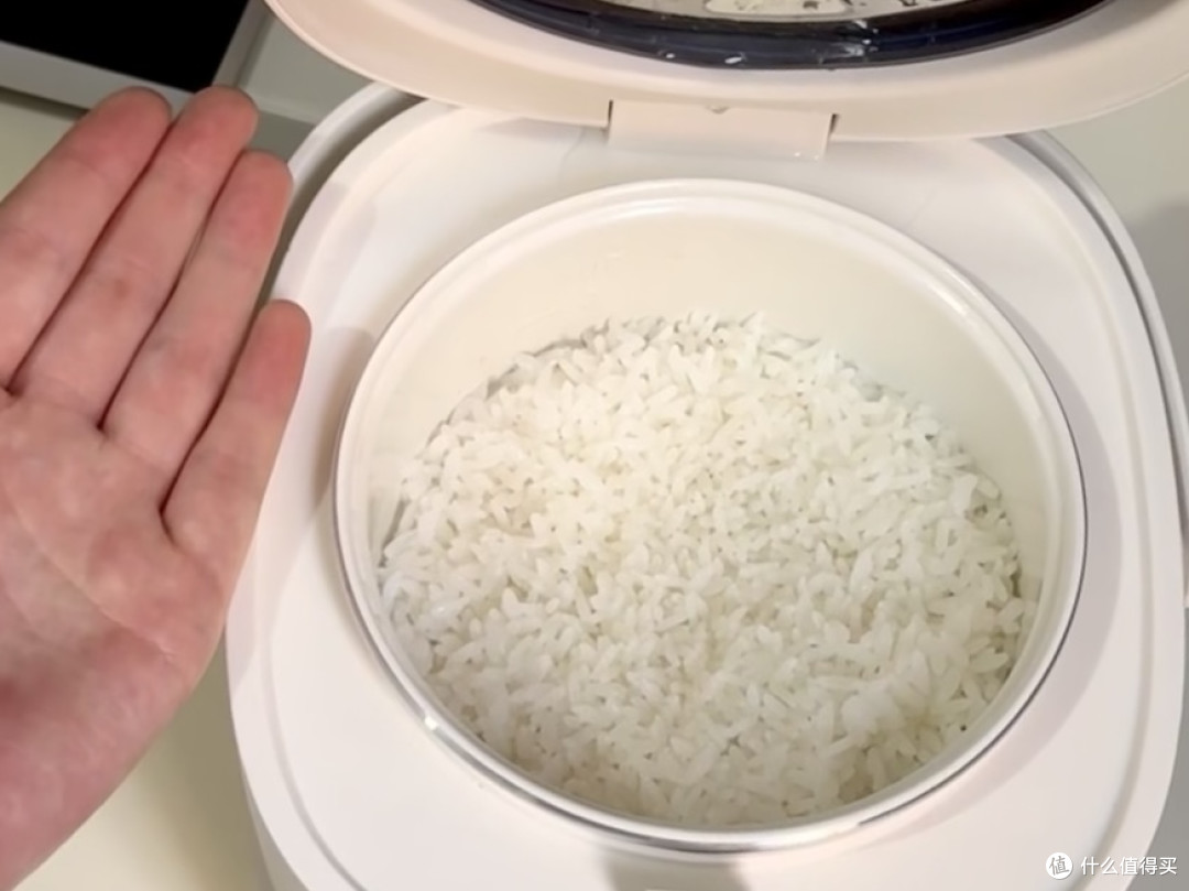 京东京造迷你小型2L电饭煲使用体验:小身材大能量的厨房神器