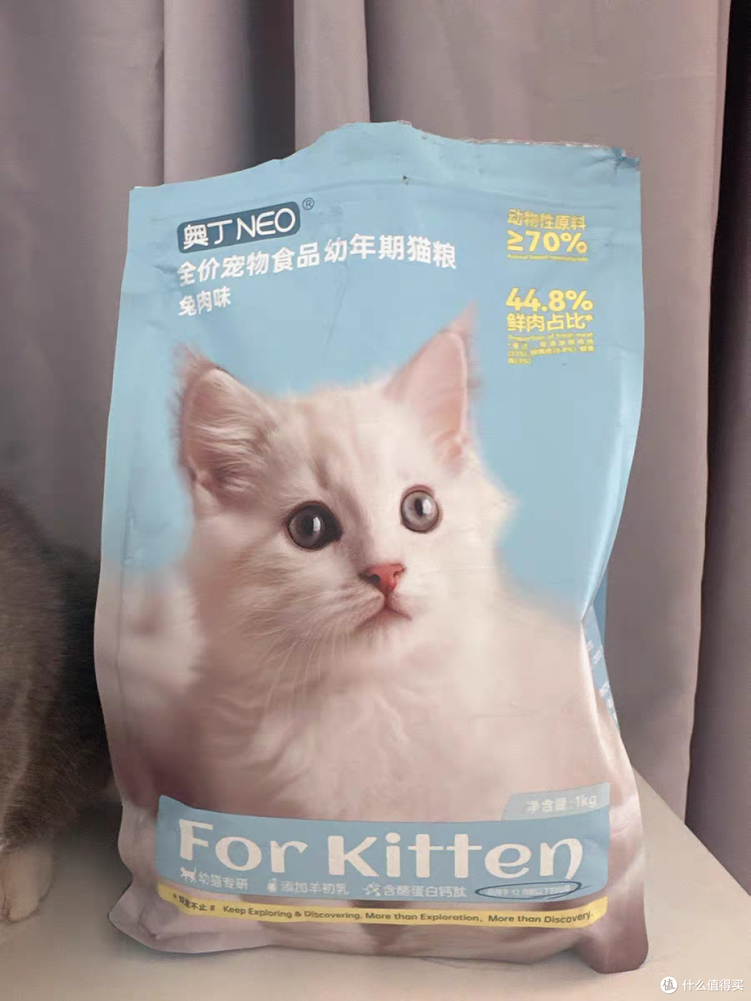 2025年幼猫十大高质量猫粮品牌怎么选？哪种牌子的好