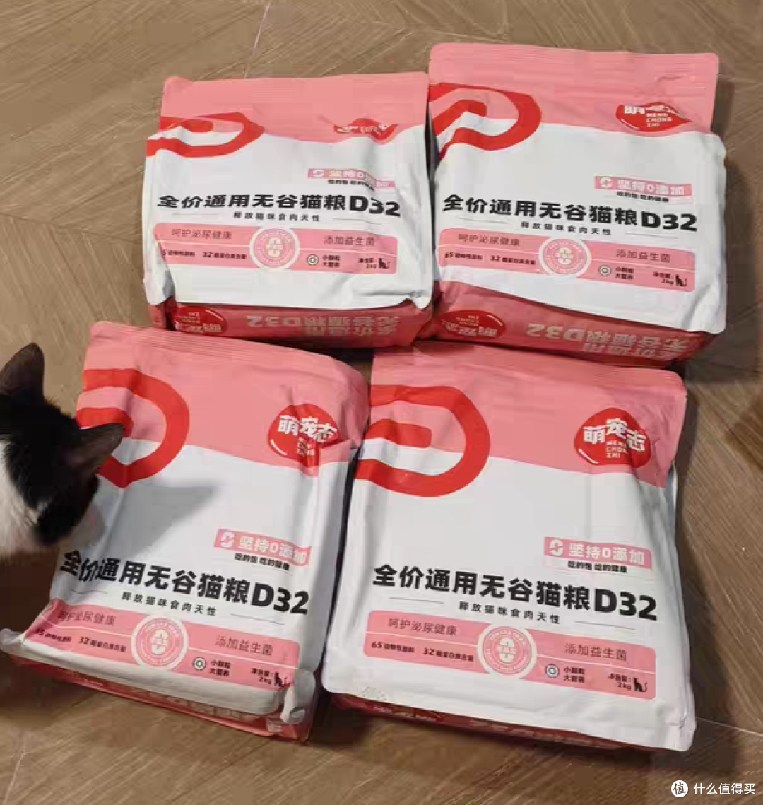 2025年幼猫十大高质量猫粮品牌怎么选？哪种牌子的好