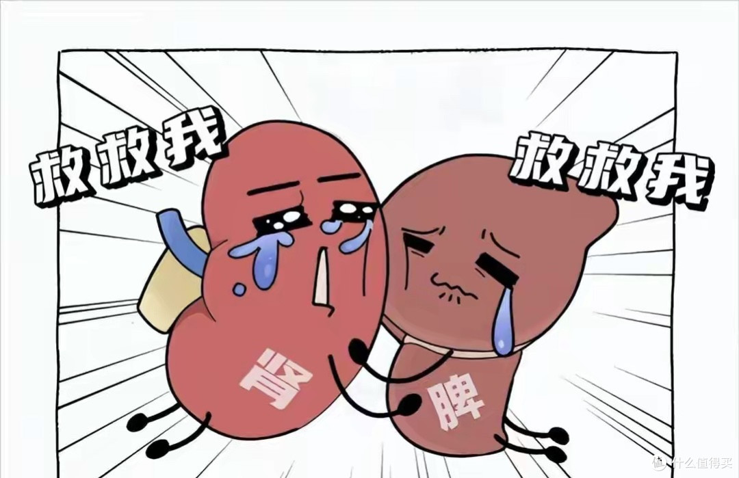 真正的衰老是从脾、肾开始的！一个中成药，脾肾同调补足精气神
