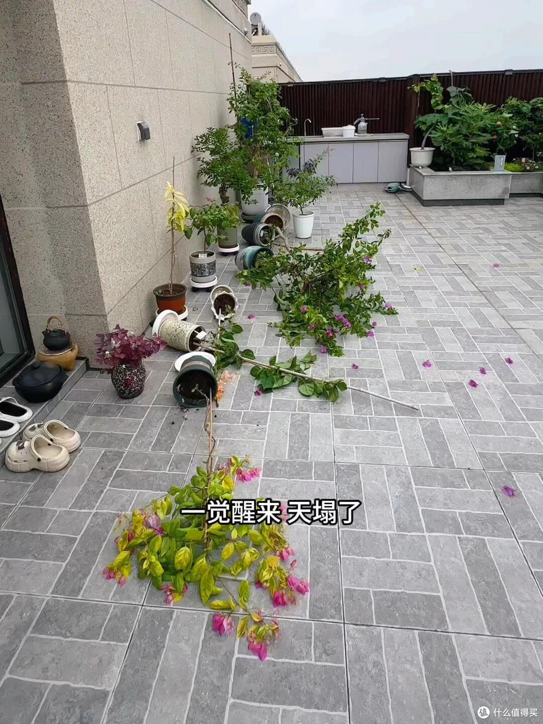 当初不听劝，非要买“顶楼”，想象很美好，住进去却一言难尽！