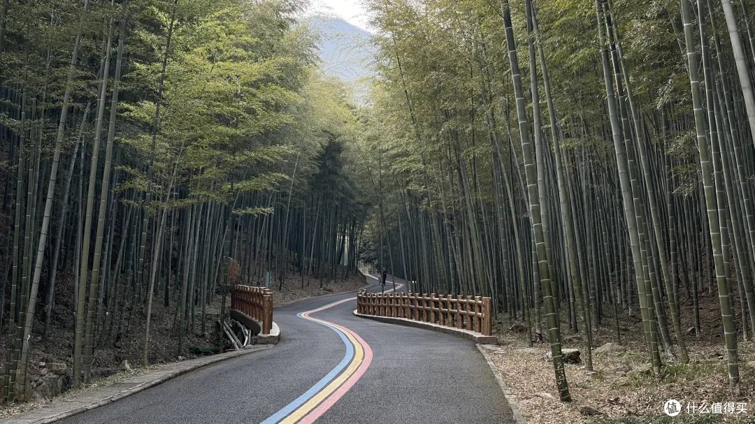 宜兴:太湖畔的江南秘境,藏着不为人知的诗意与风雅