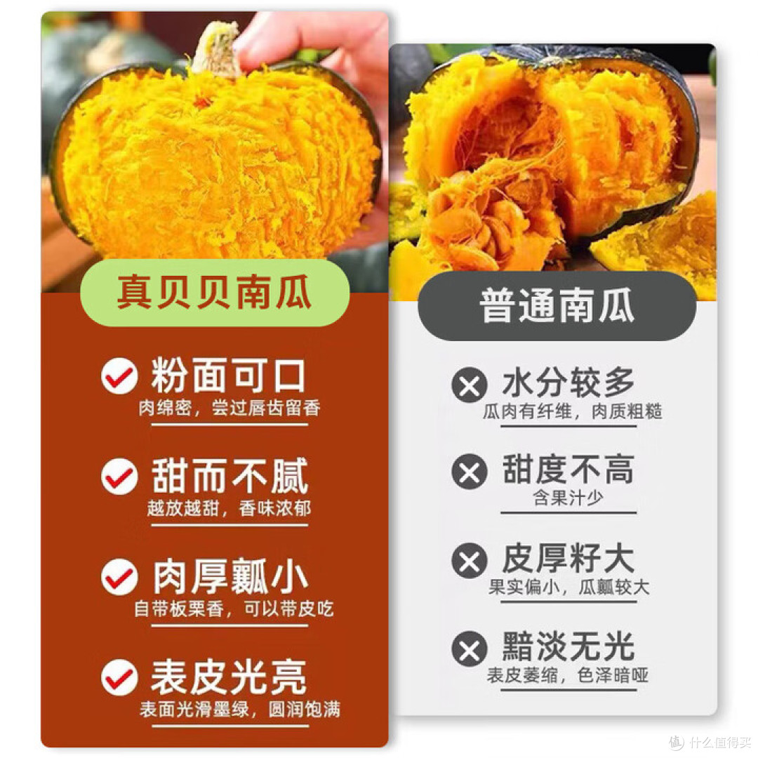 一口沦陷的山东头茬贝贝!粉糯甜香,蒸烤皆绝!
