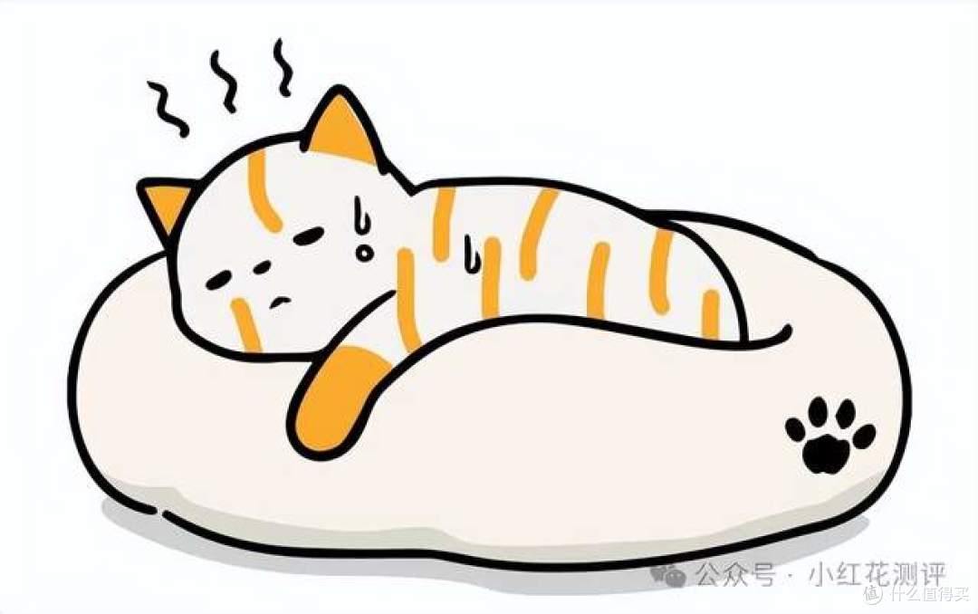 铲屎官必看!全网爆火的20款猫粮测评,哪些翻车了呢?