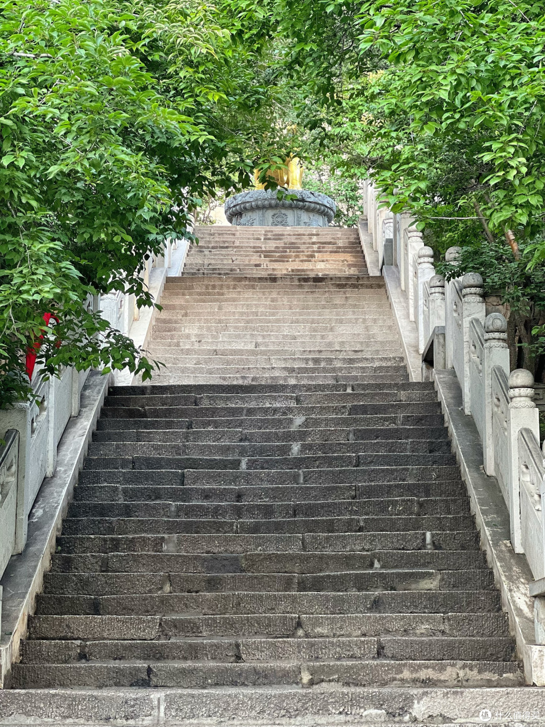 塔尔寺夏日行:红墙经幡间的童真