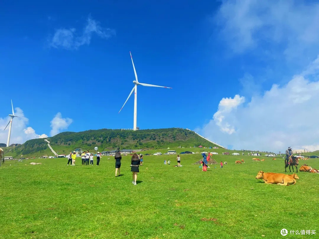 乌蒙大草原的夏日童话