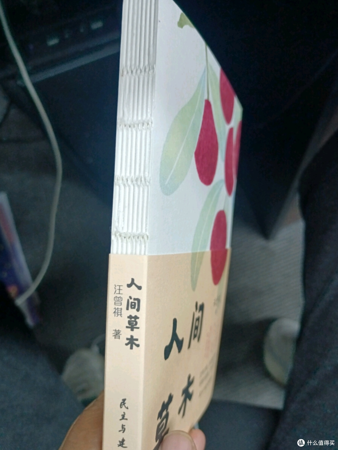 汪曾祺《人间草木》