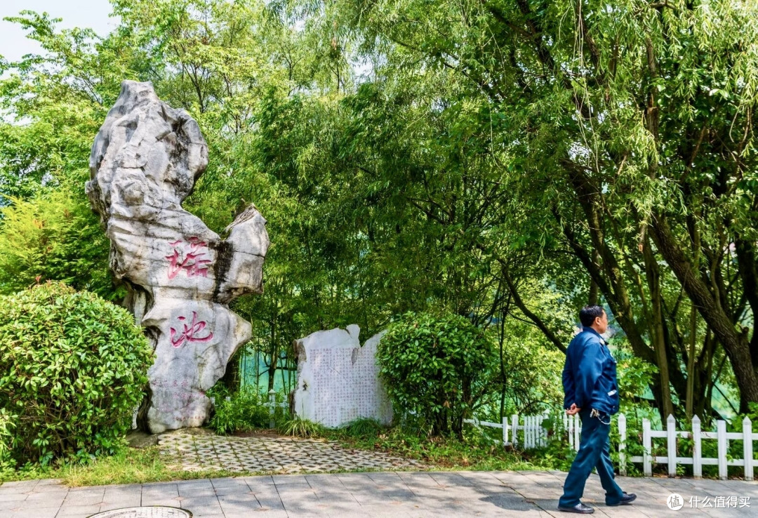 明湖湿地公园的清凉避暑之旅