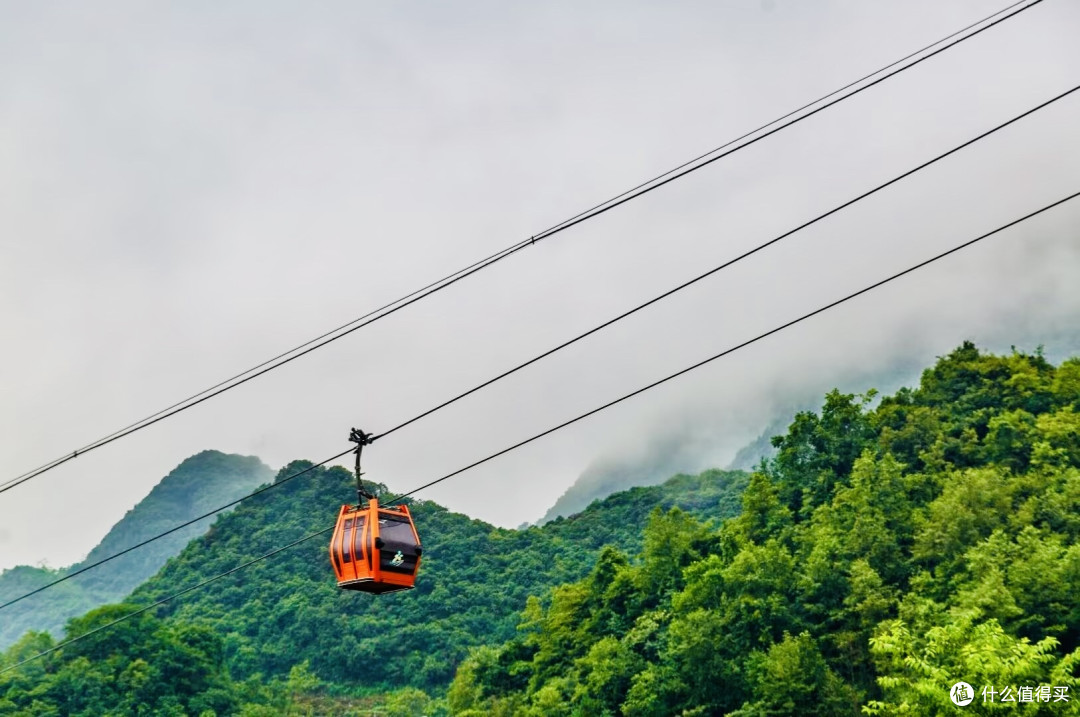 明湖湿地公园的清凉避暑之旅