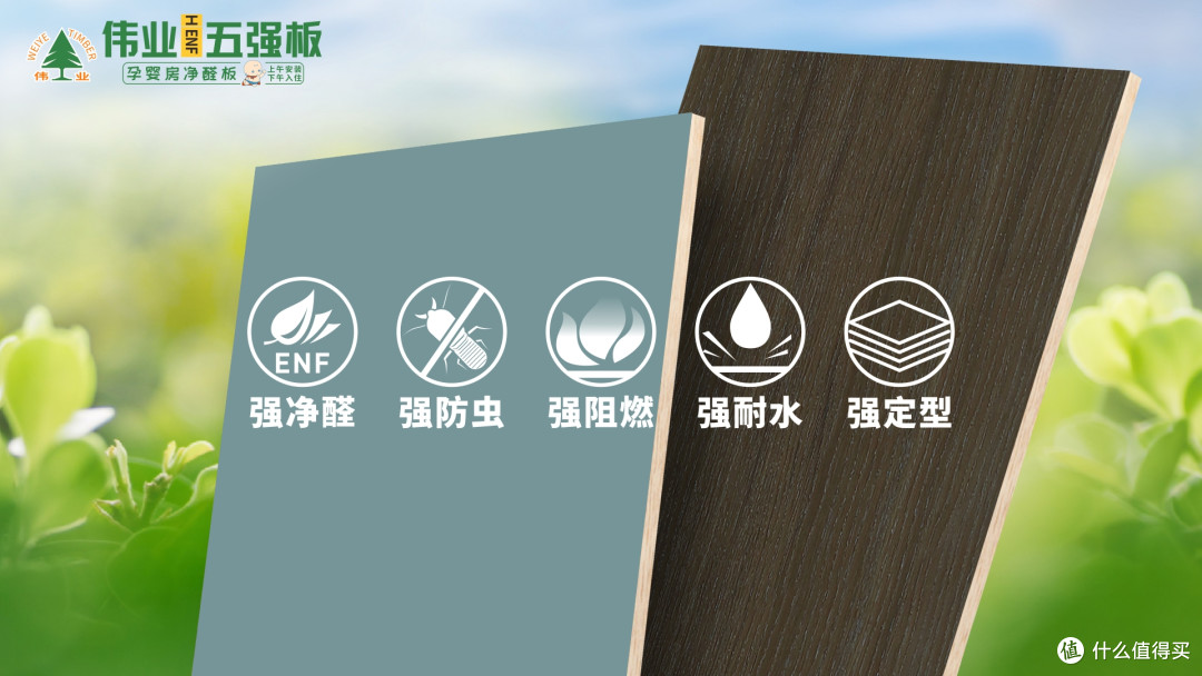 地壳里的“胶”有多强?伟业五强板+无机生态胶告诉你