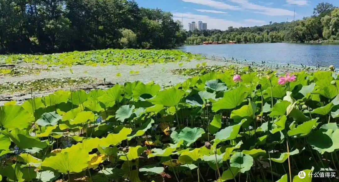 夏日避暑胜地:在自然中寻找清凉