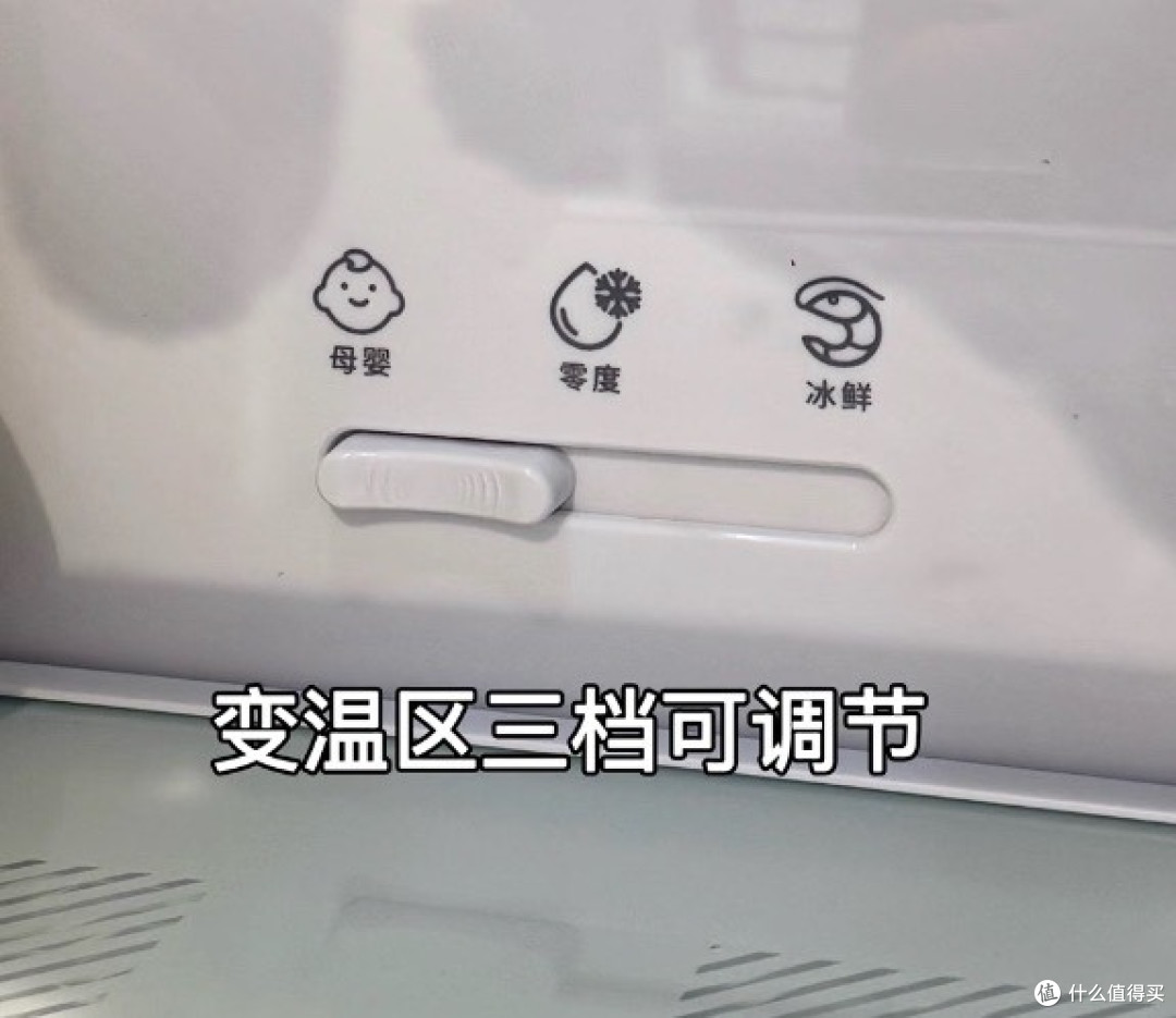 多款冰箱选购指南:爱囤蔬果、爱喝冷饮、爱吃甜食的朋友看过来!