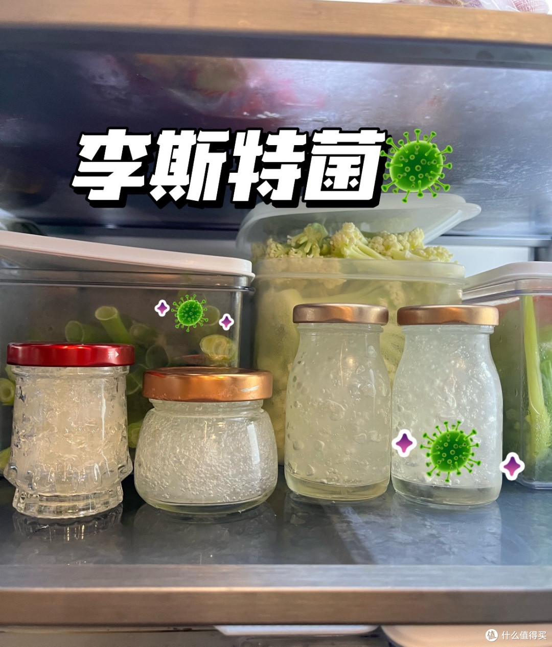 多款冰箱选购指南:爱囤蔬果、爱喝冷饮、爱吃甜食的朋友看过来!