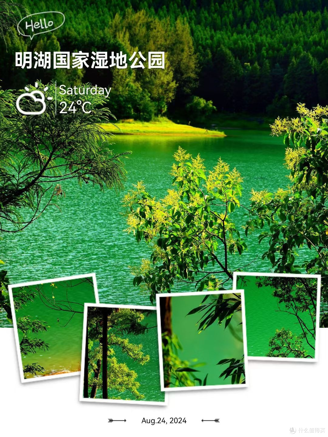 明湖湿地亲子自然课
