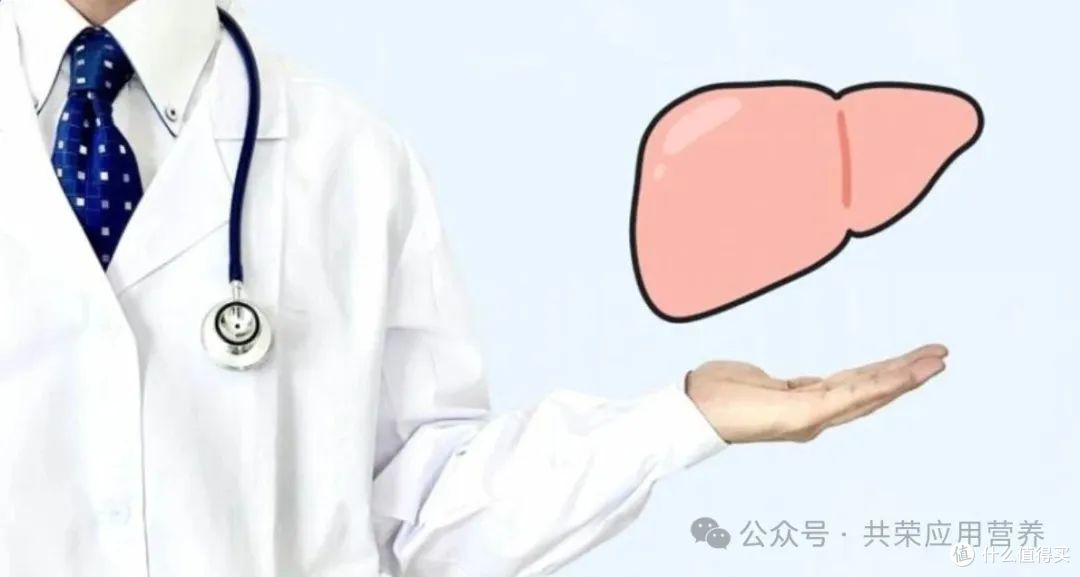 SAT-3D膳食系统:脂肪肝患者的饮食救星
