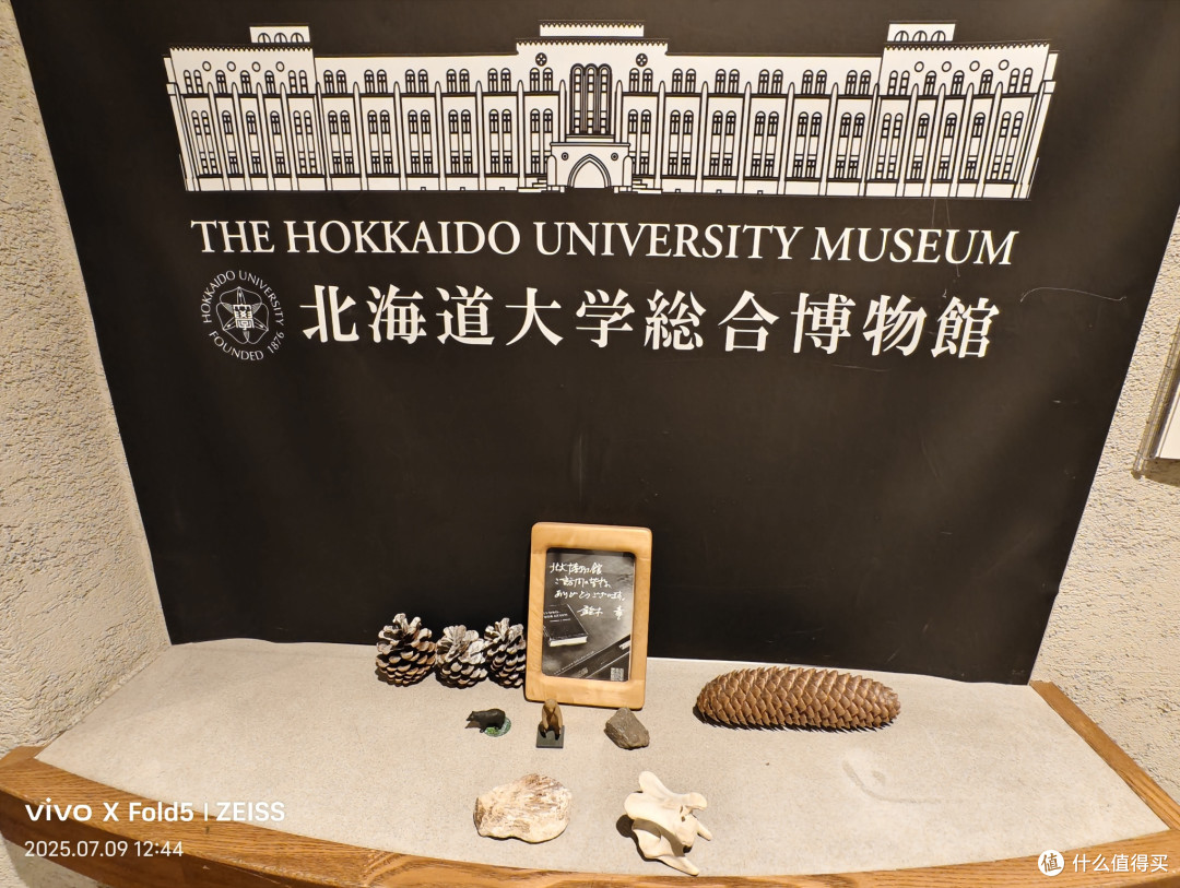 人性考验北国旅,他乡浅游高校记(北海道篇)