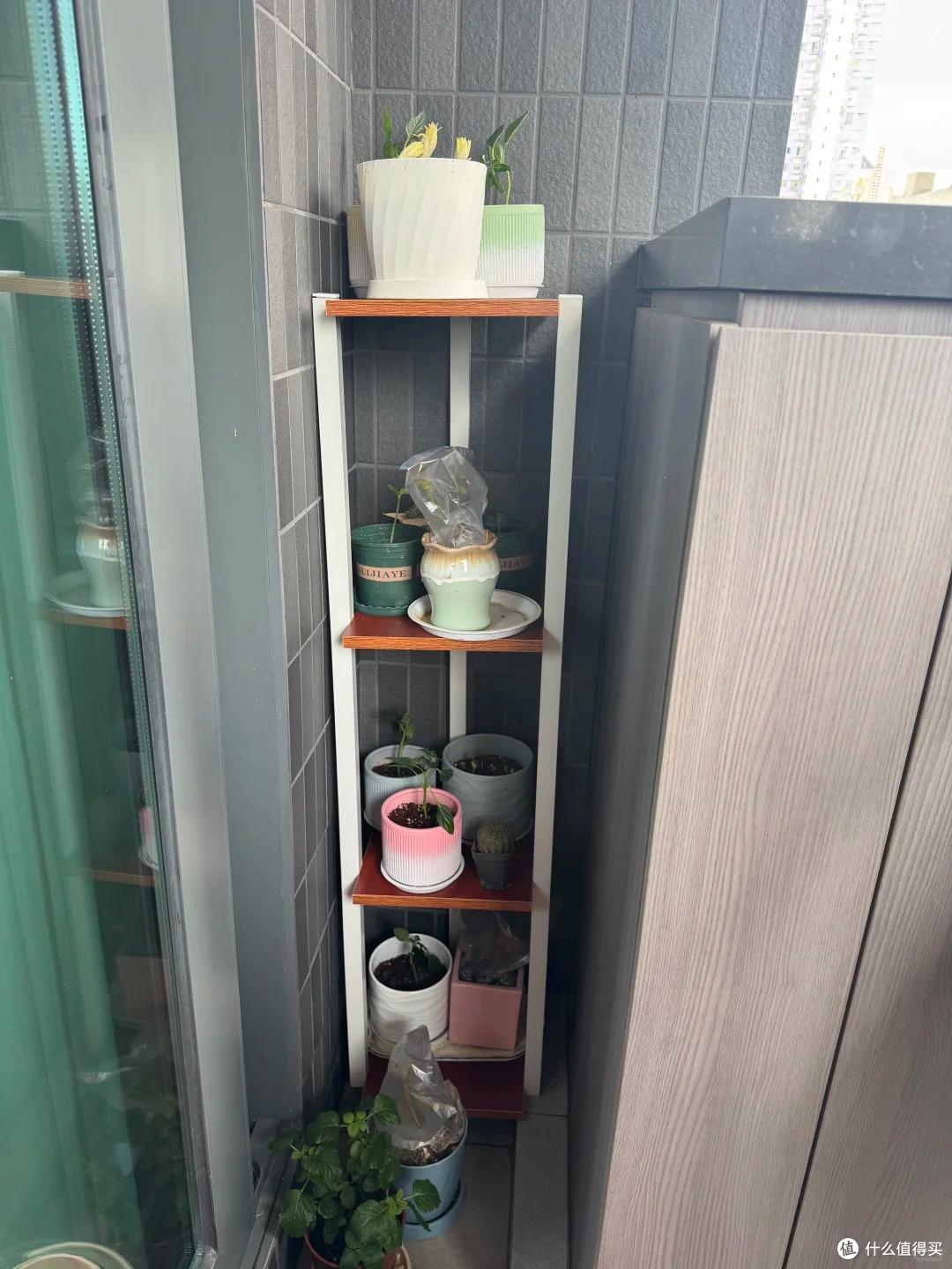 香港一夫妻火了,工作十年,攒下26㎡小屋,竟有3室2厅,必须晒晒
