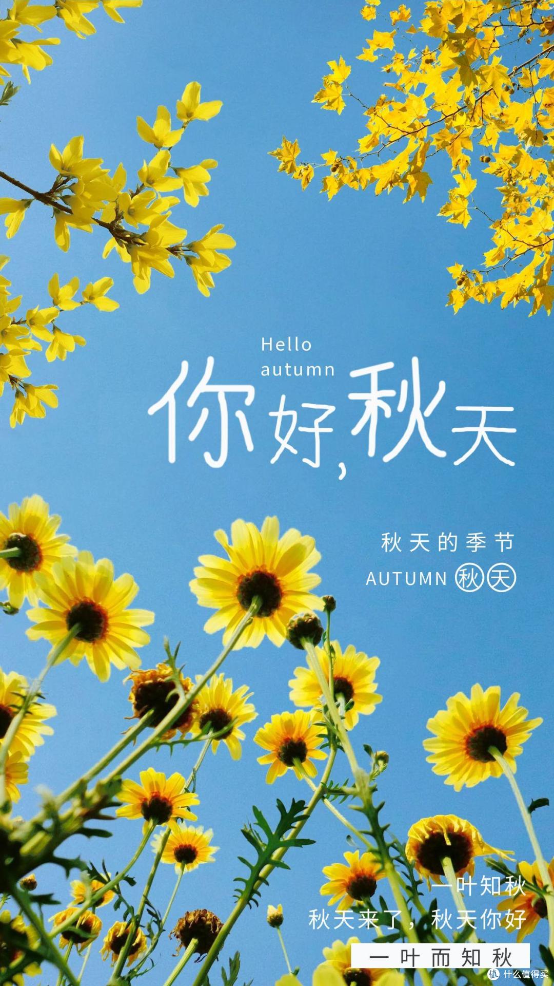 三伏天过后,“一果两菜三根”记得吃,滋润降秋燥,身体不吃亏