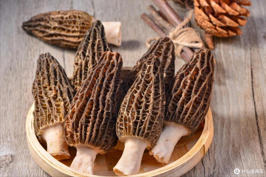 走啊,一起去新疆吃野生菌!