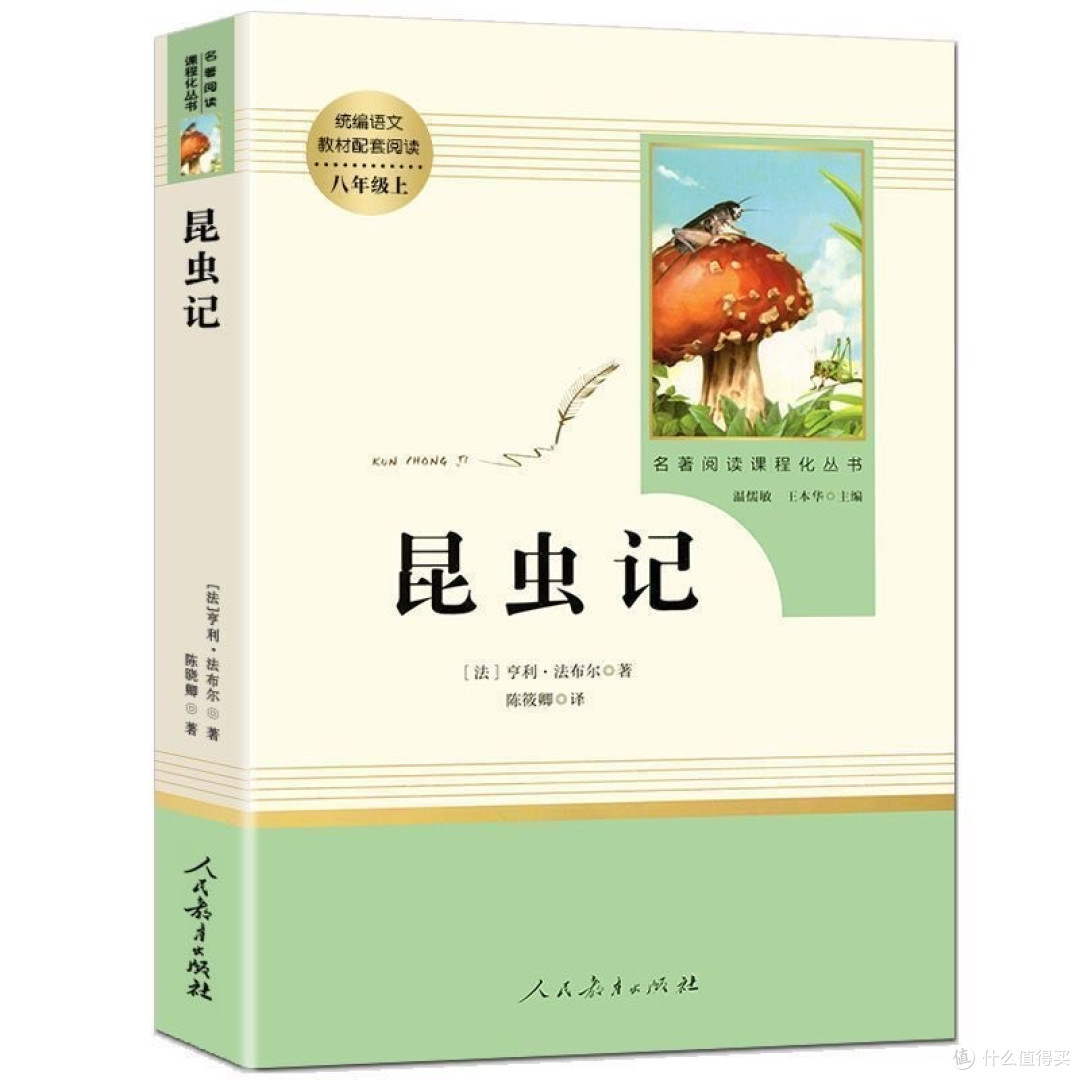 探索未知，遇见意外风景？