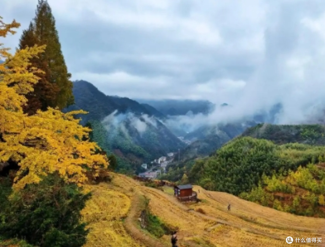 浙江临安指南村：秋日秘境的绝美攻略
