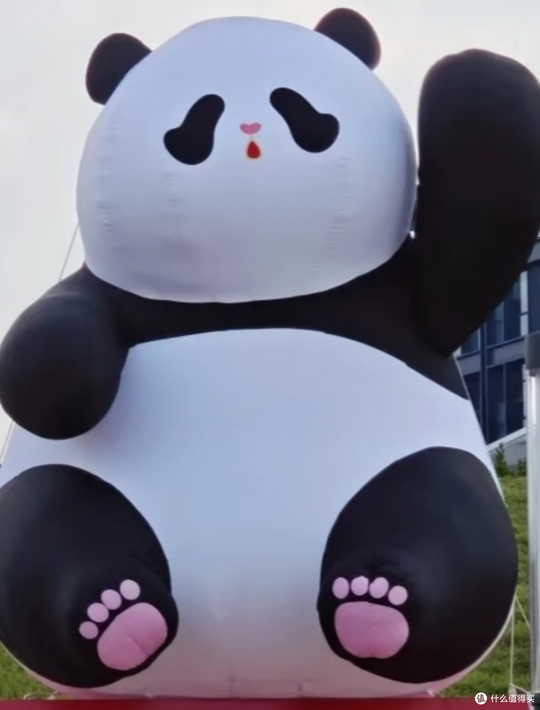 我的HOT夏体验报告:广州胖萌狂想展