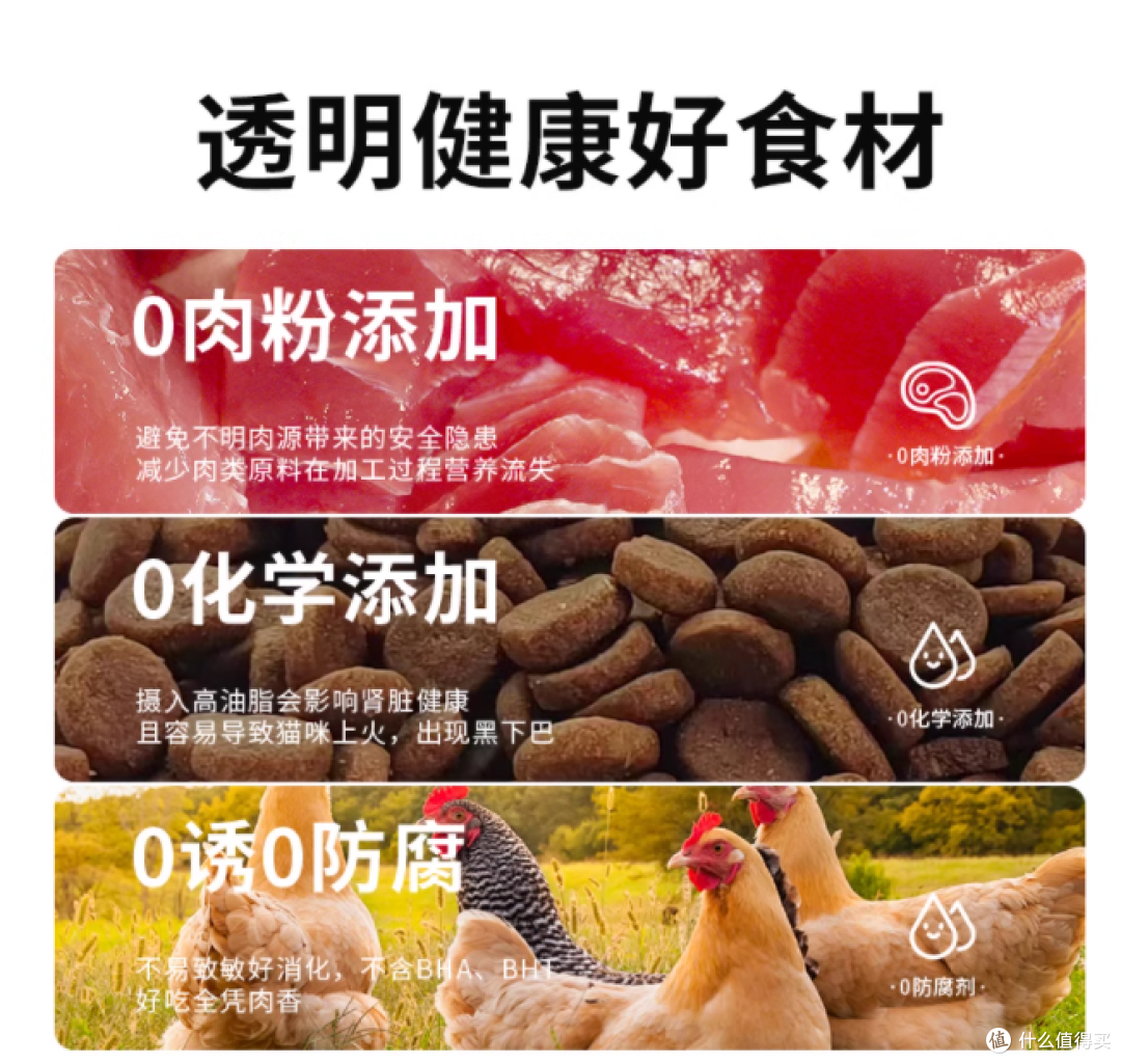 铲屎官必看❗猫咪肠道呵护秘籍在此