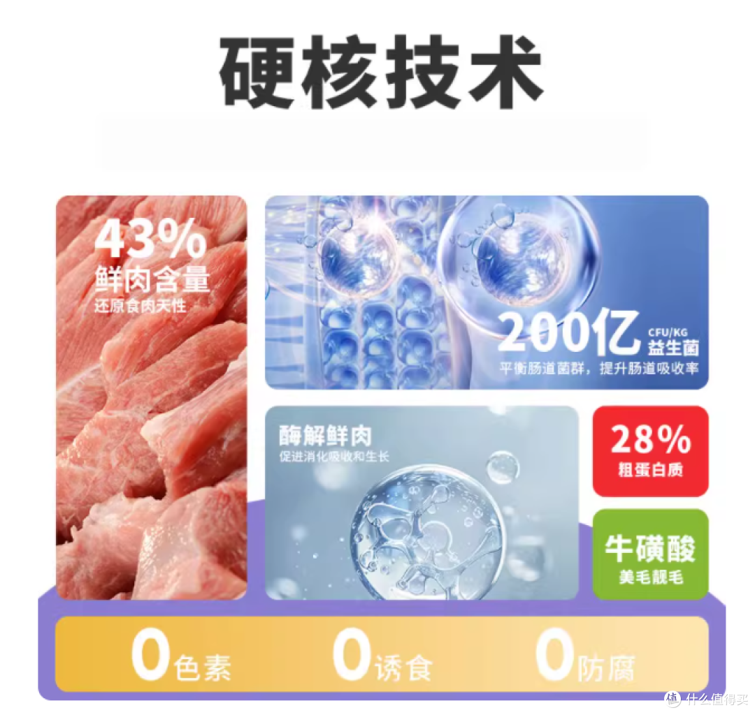 铲屎官必看❗猫咪肠道呵护秘籍在此