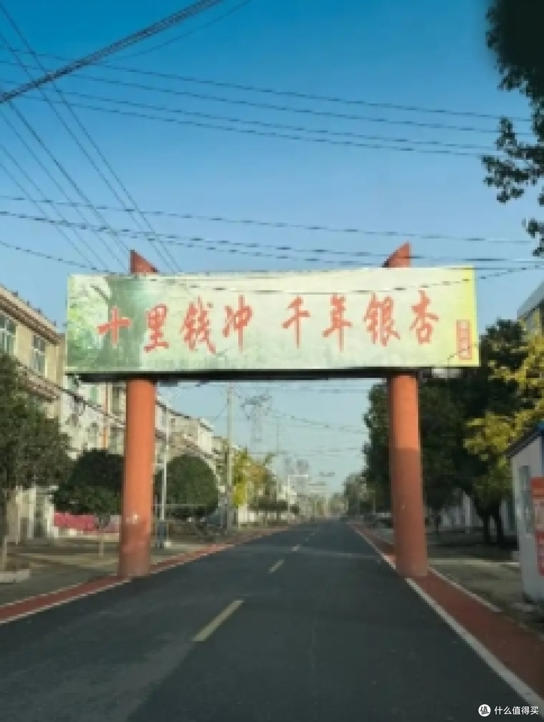 湖北安陆钱冲银杏谷:秋日秘境的千年童话之旅