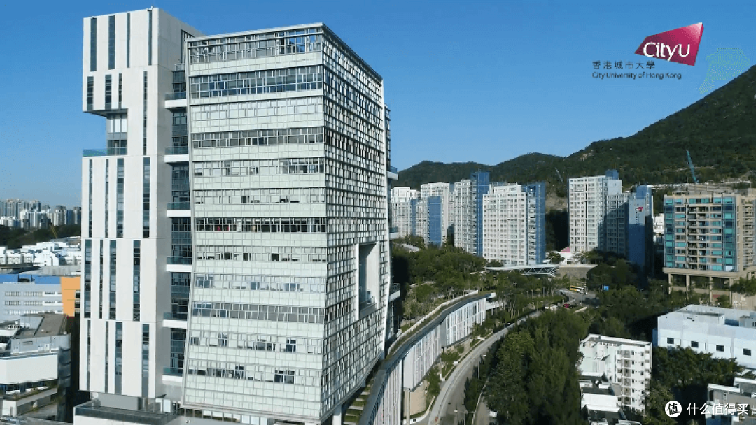 王贵运:以国际视野推动多元经济合作 助力一带一路高质量发展