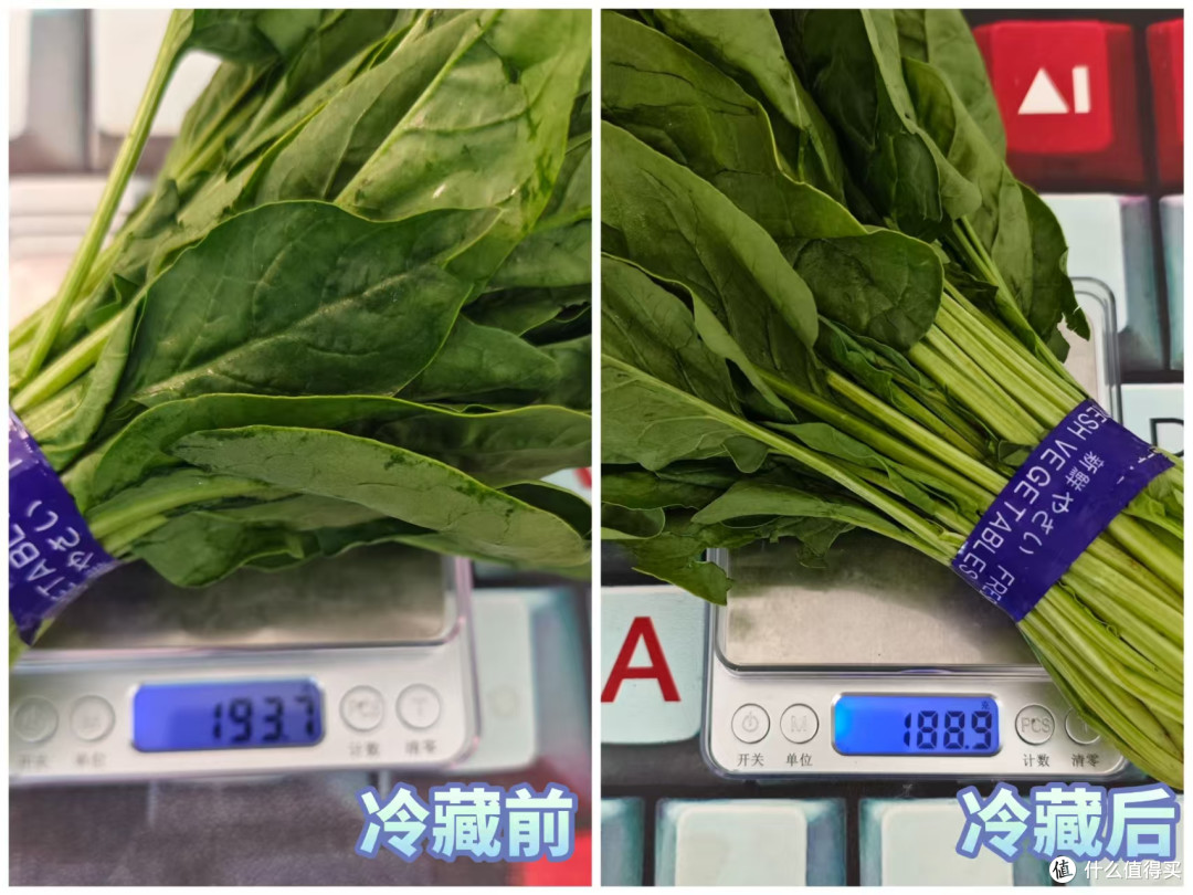 「拆机实测」格力冰箱505L实测干货贴
