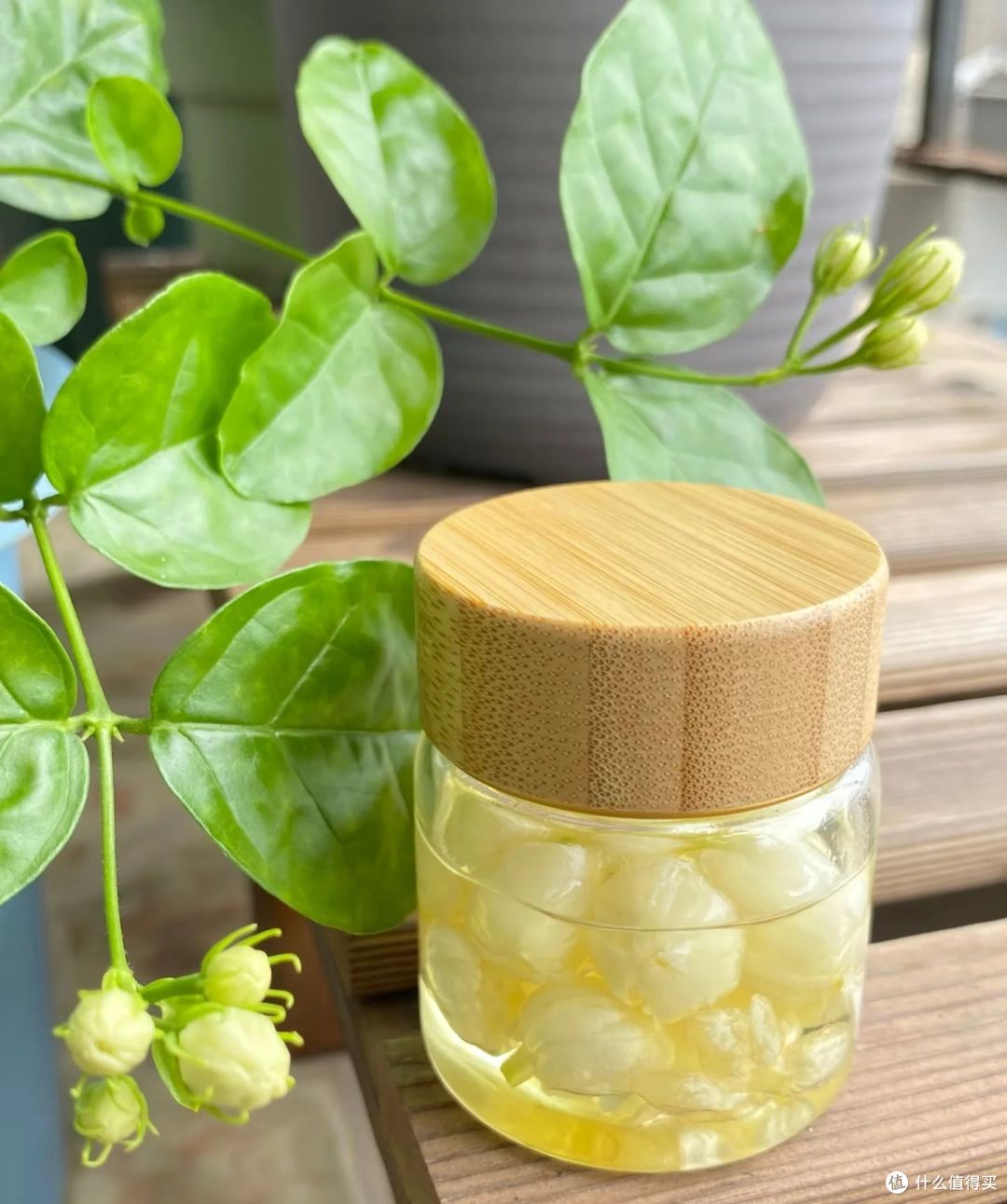 被网友的「茉莉花」妙用惊呆了,不花啥钱,还解决了不少生活痛点