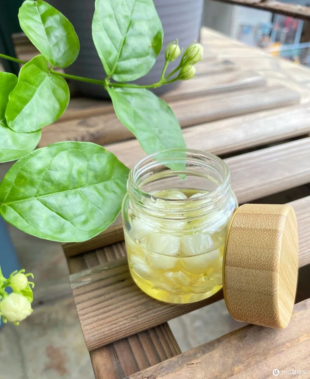 被网友的「茉莉花」妙用惊呆了,不花啥钱,还解决了不少生活痛点