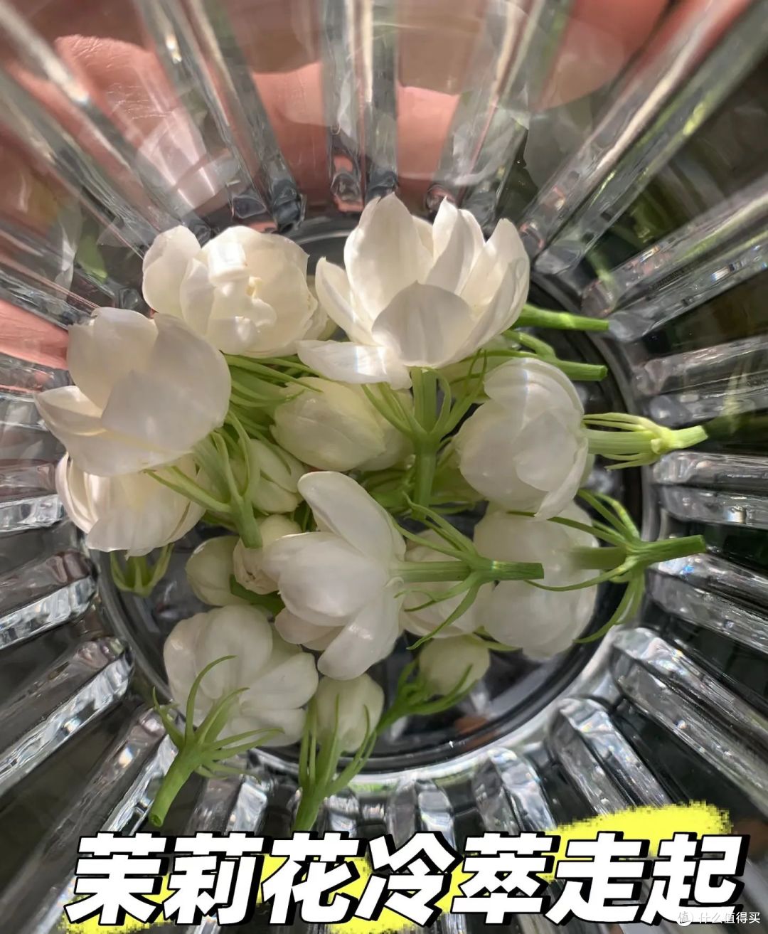 被网友的「茉莉花」妙用惊呆了,不花啥钱,还解决了不少生活痛点