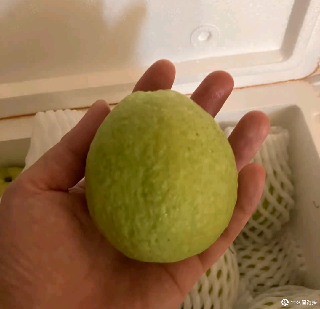 京地达红心芭乐二次回购体验