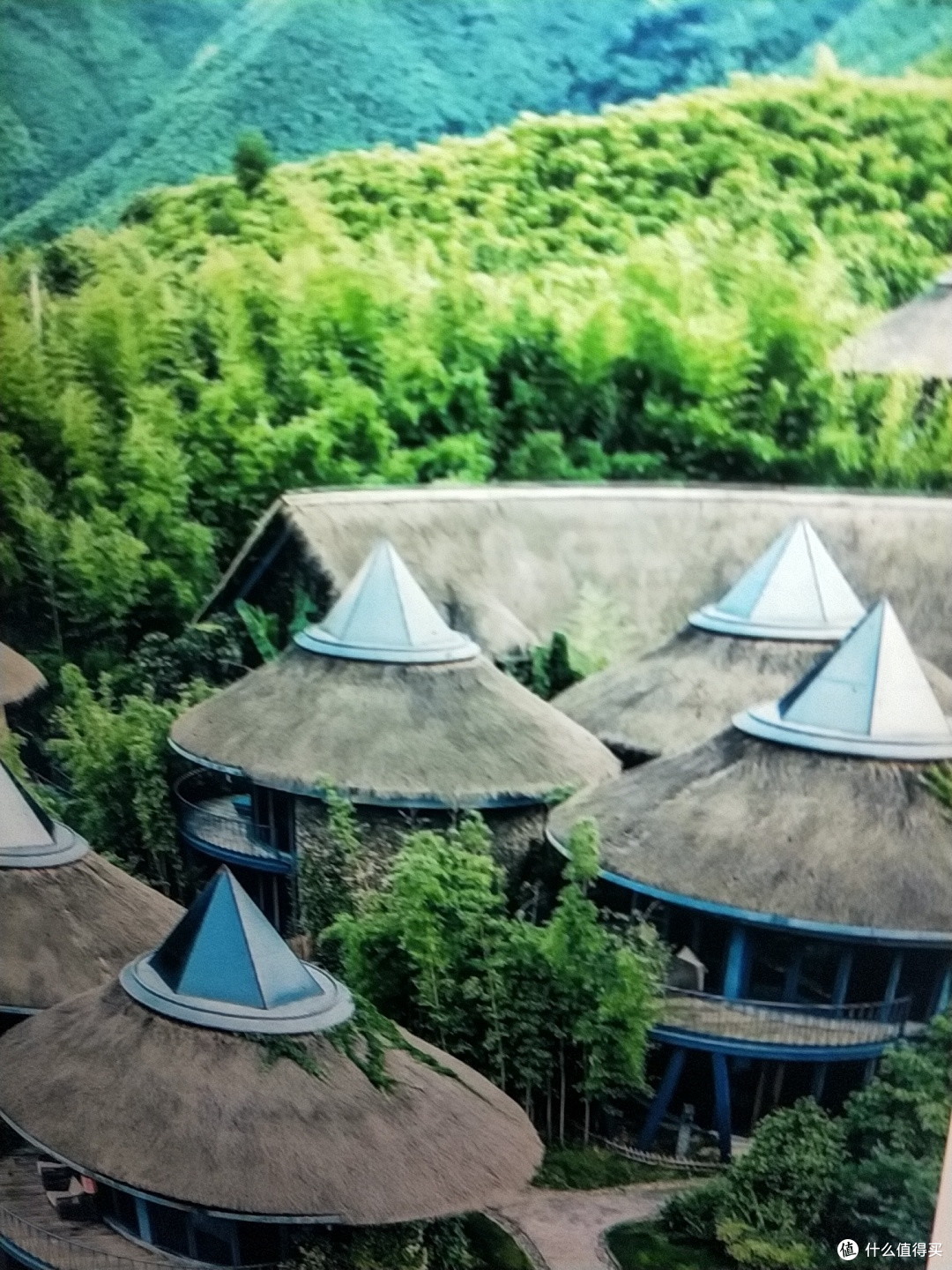逃离西湖人潮,奔赴安吉上春山的诗意之约