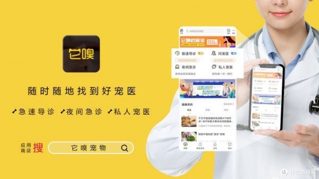 8月消费新风向：“痛金”与宠物线上问诊崛起
