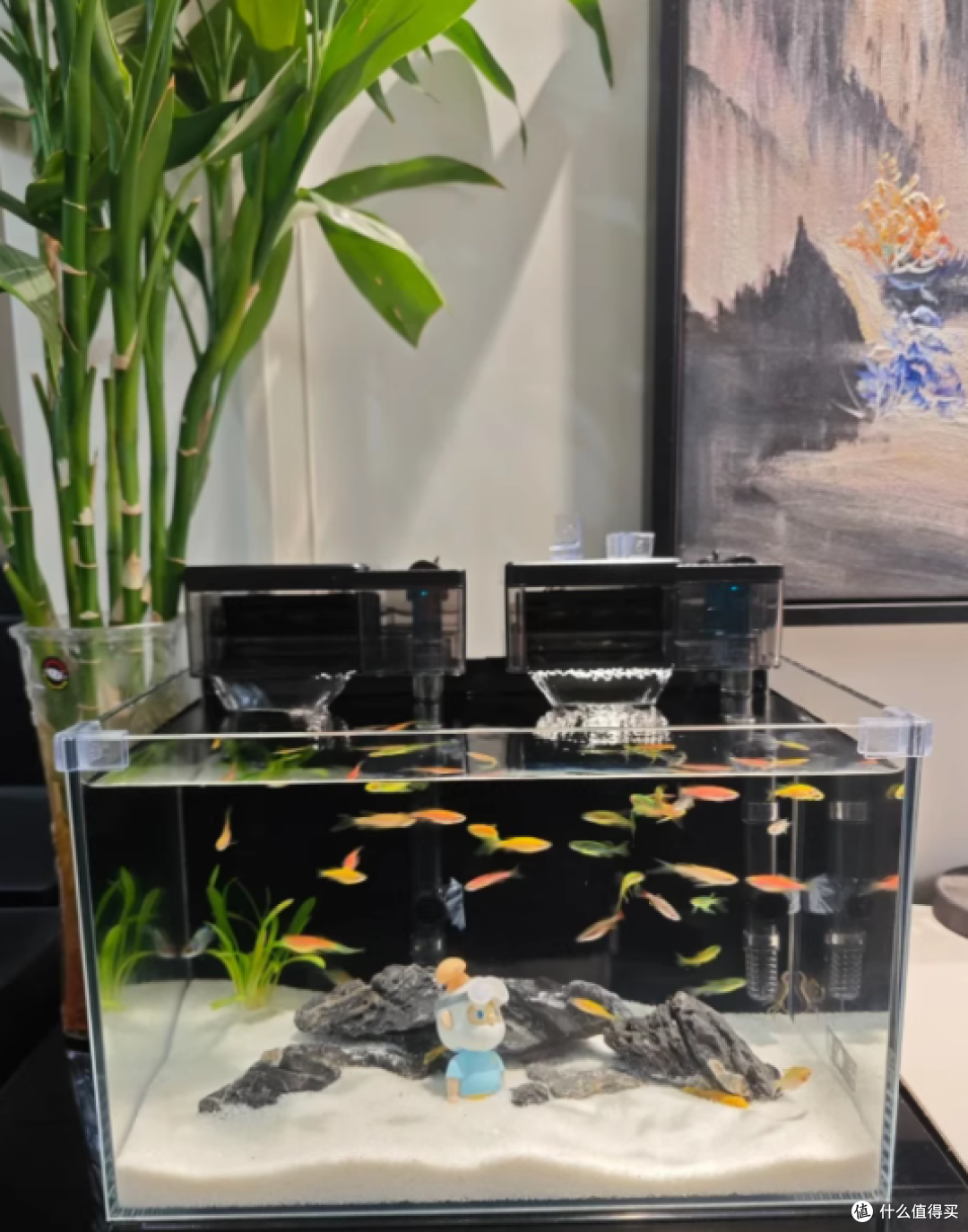 ✨沉浸式水族体验 | BESSN 金晶五线超白玻璃鱼缸
