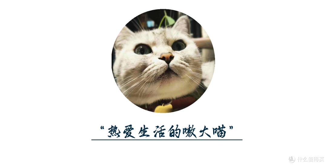 用了一年小米智能门锁 2 人脸识别版，这些真实感受想说说