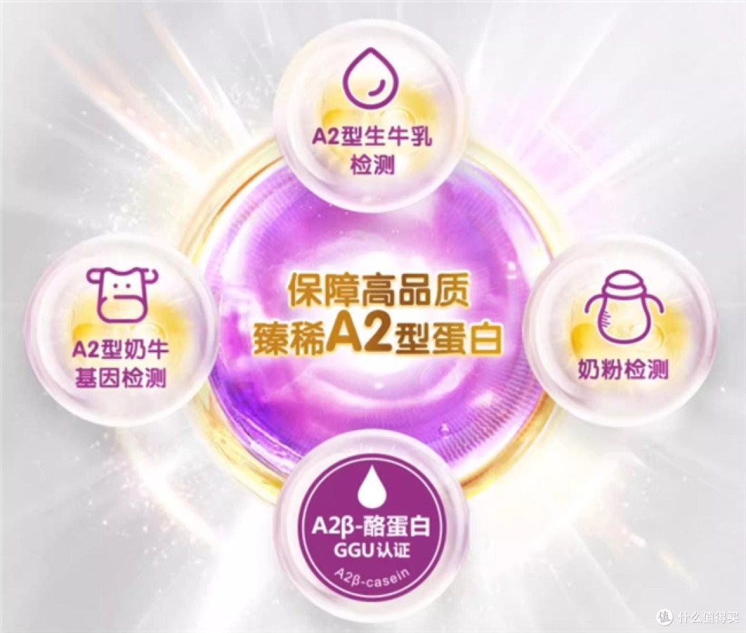 探寻什么奶粉对肠胃吸收好,五大优质奶粉助力宝宝消化吸收