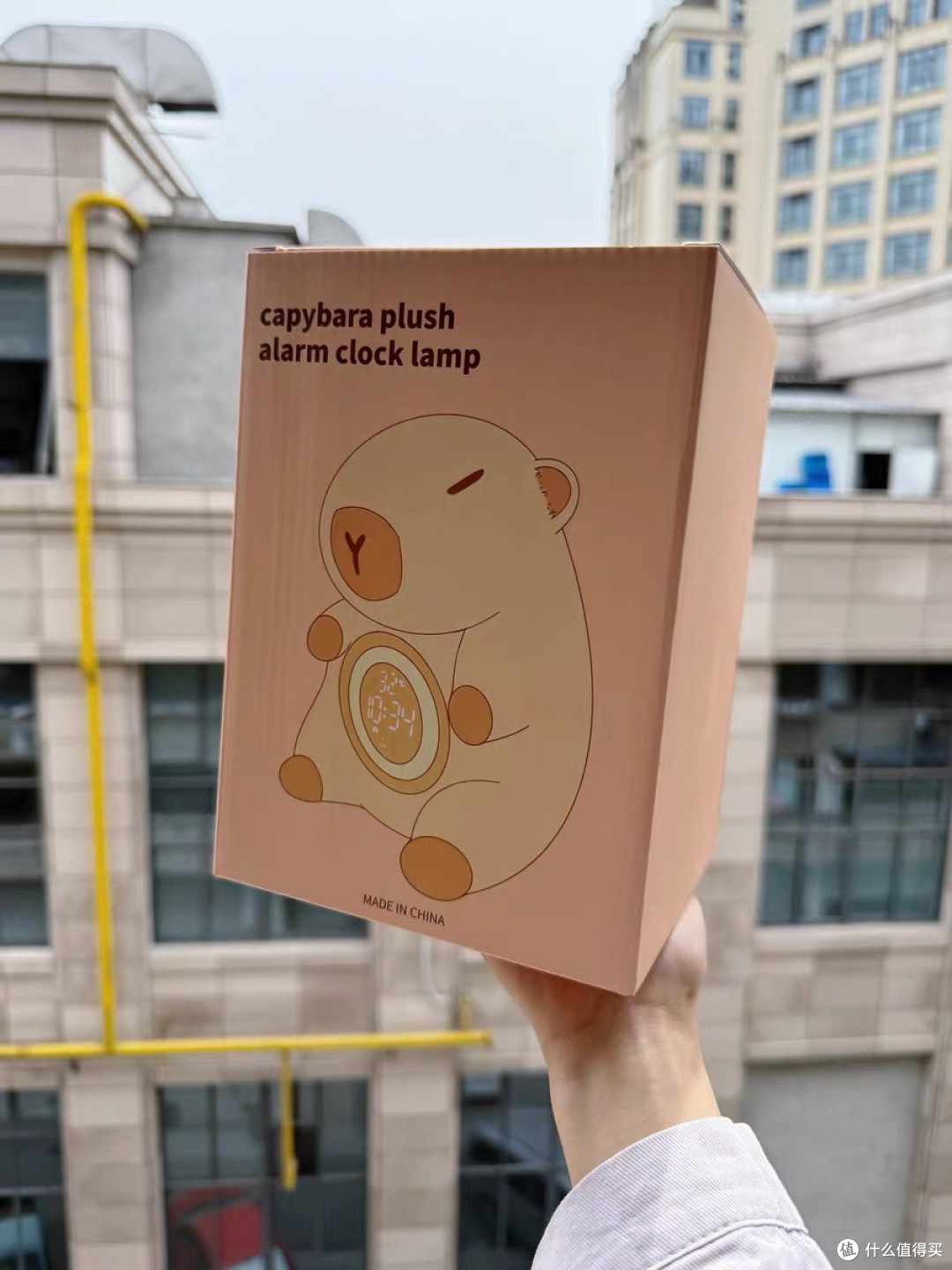 卡皮巴拉闹钟:孩子起床新神器