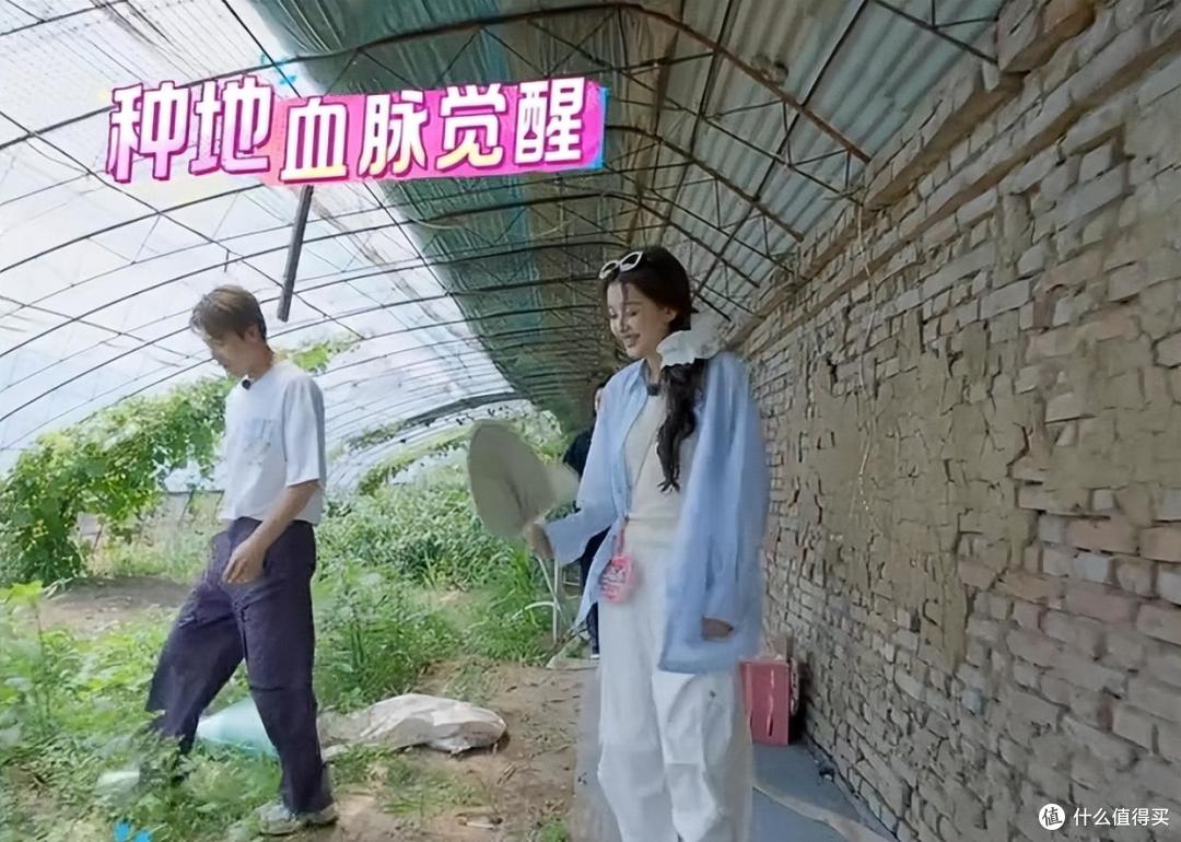 马天宇的院子又火了，仅一菜园、鸡舍就圈粉百万，一看就不是摆拍