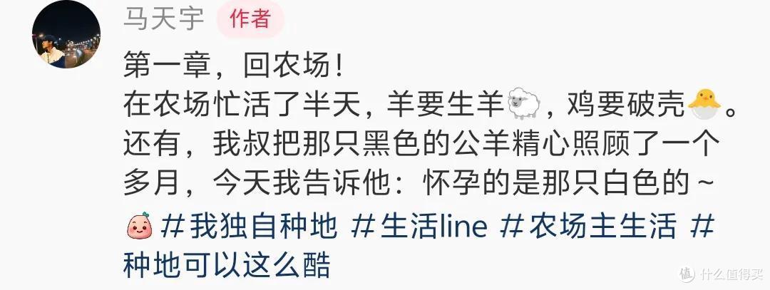 马天宇的院子又火了，仅一菜园、鸡舍就圈粉百万，一看就不是摆拍