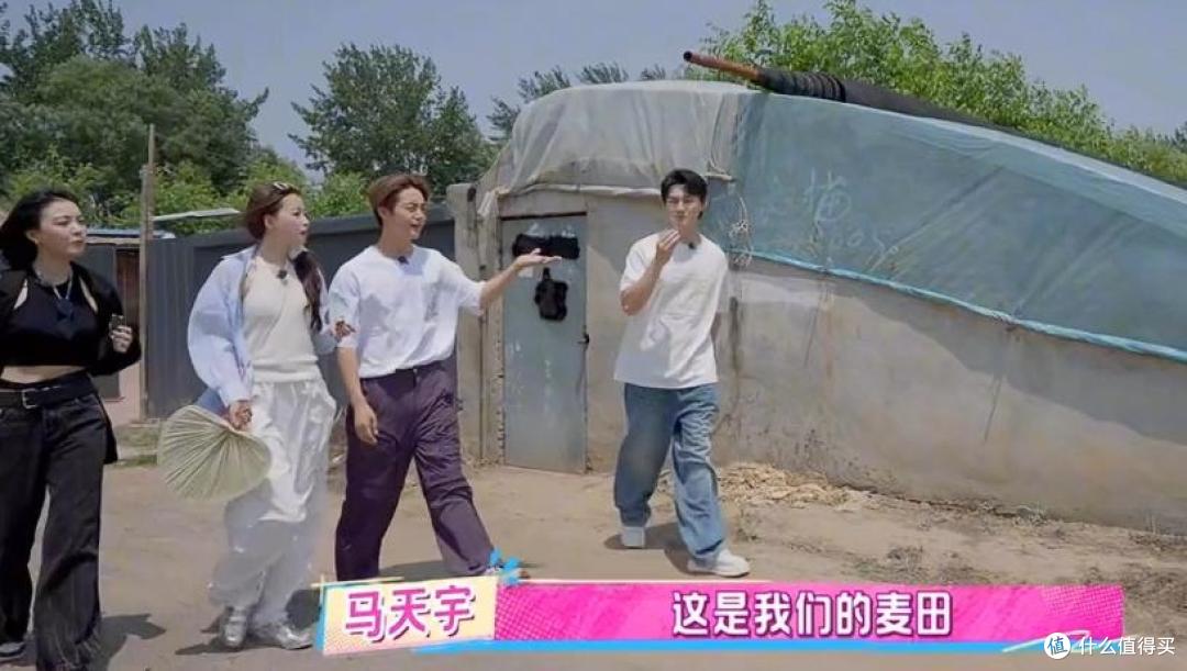 马天宇的院子又火了，仅一菜园、鸡舍就圈粉百万，一看就不是摆拍