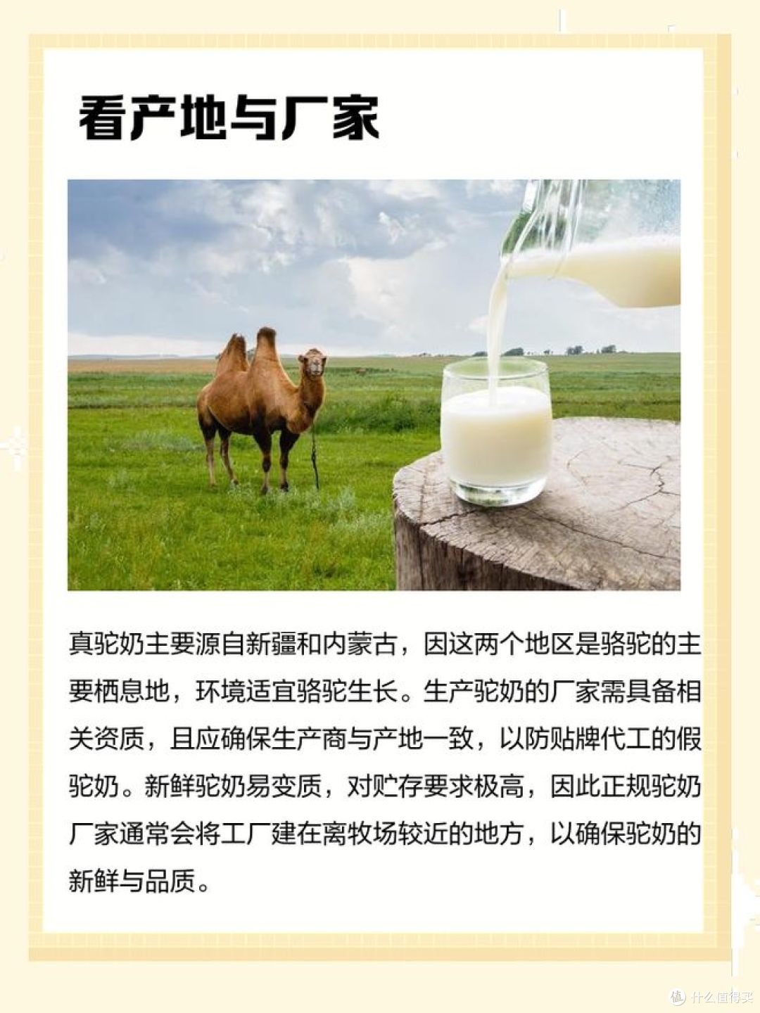 真驼奶和假驼奶的区别,你能分得清吗?